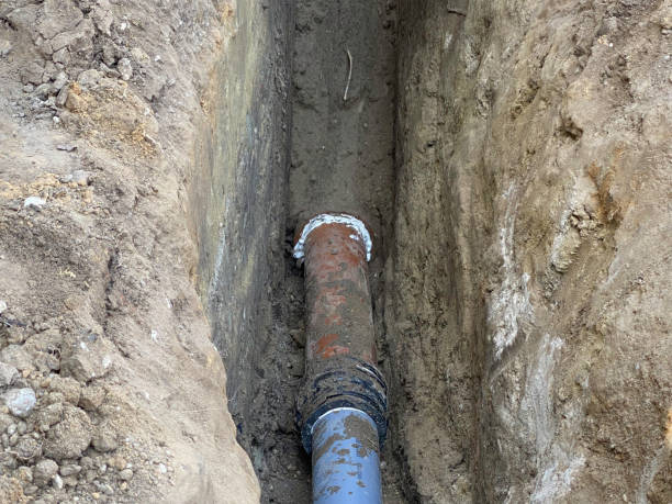 Best Professional water damage repair  in Parchment, MI