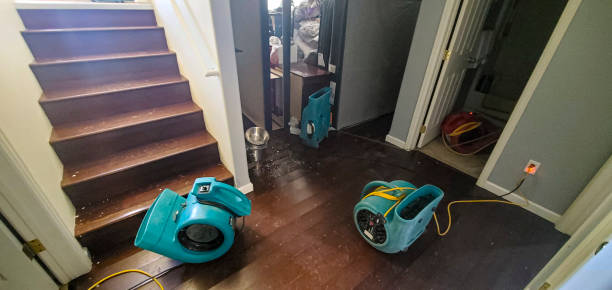 Best Carpet water damage restoration  in Parchment, MI