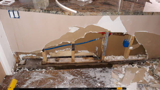 Best Flood damage cleanup  in Parchment, MI