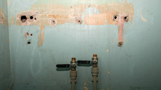 Water damage restoration experts in MI